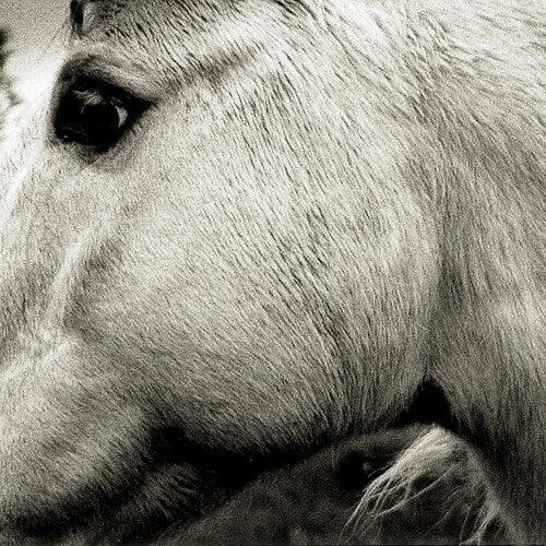 Bonny Light Horseman- Bonny Light Horseman