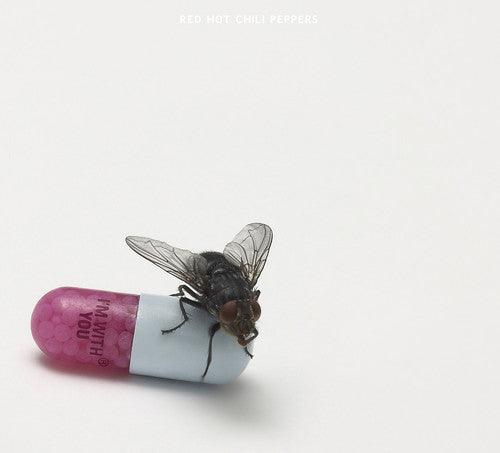Red Hot Chili Peppers- I'm With You