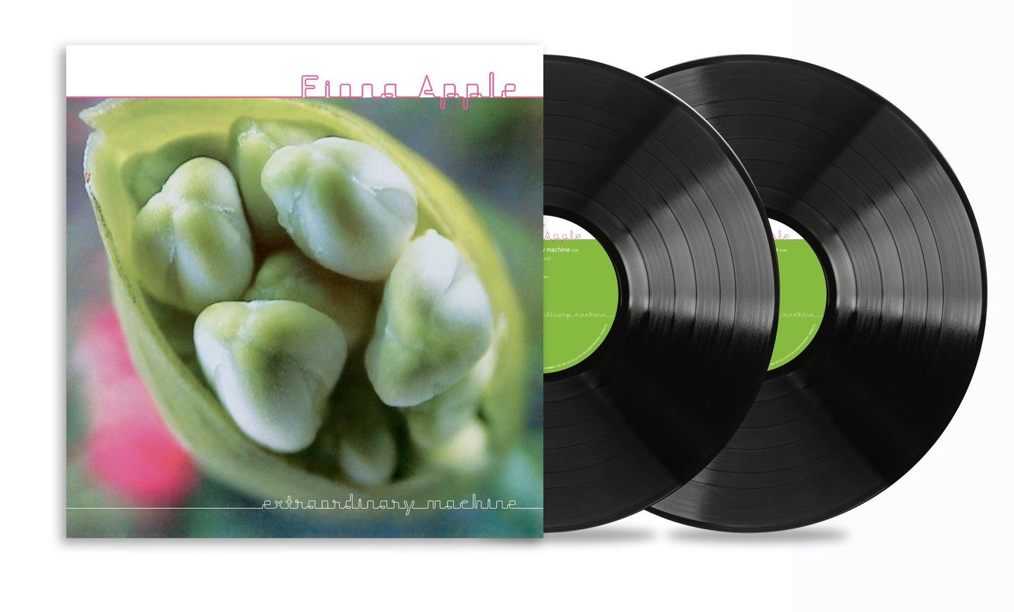 Fiona Apple- Extraordinary Machine (DAMAGED)
