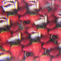Thee Oh Sees- Floating Coffin