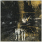 Old Fire- Voids