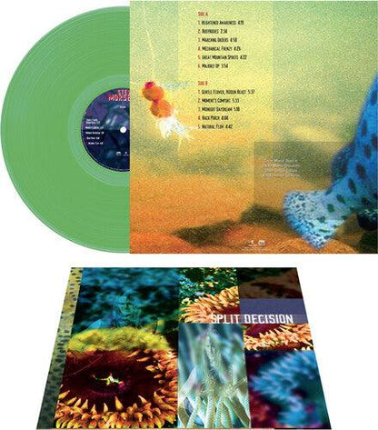 Steve Morse Band- Split Decision - Green