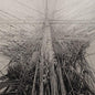 Arone Dyer & Stargaze- Arone Dyer & Stargaze