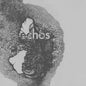 Late Night Alumni- Echos