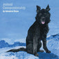 Avance Base- Animal Companionship