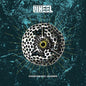 Wheel- Charismatic Leaders