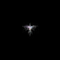 Lux Prima (Karen O & Danger Mouse)- Lux Prima