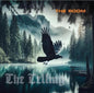 The Room- The Telling