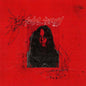 Total Tommy- Bruises