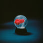 Darkside- Nothing (Indie Exclusive)