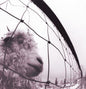 Pearl Jam- Vs.