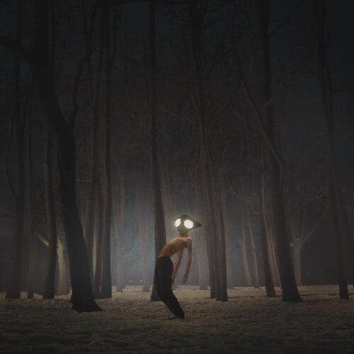 Geese- Projector